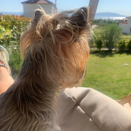 Apartament морска къща емма