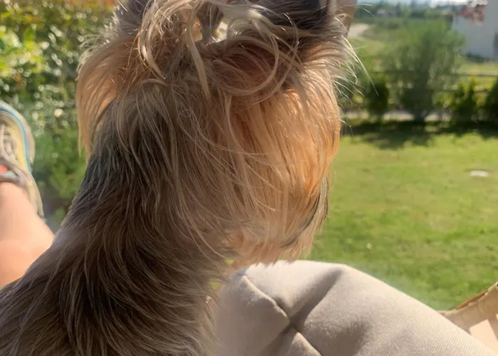 Appartement морска къща емма